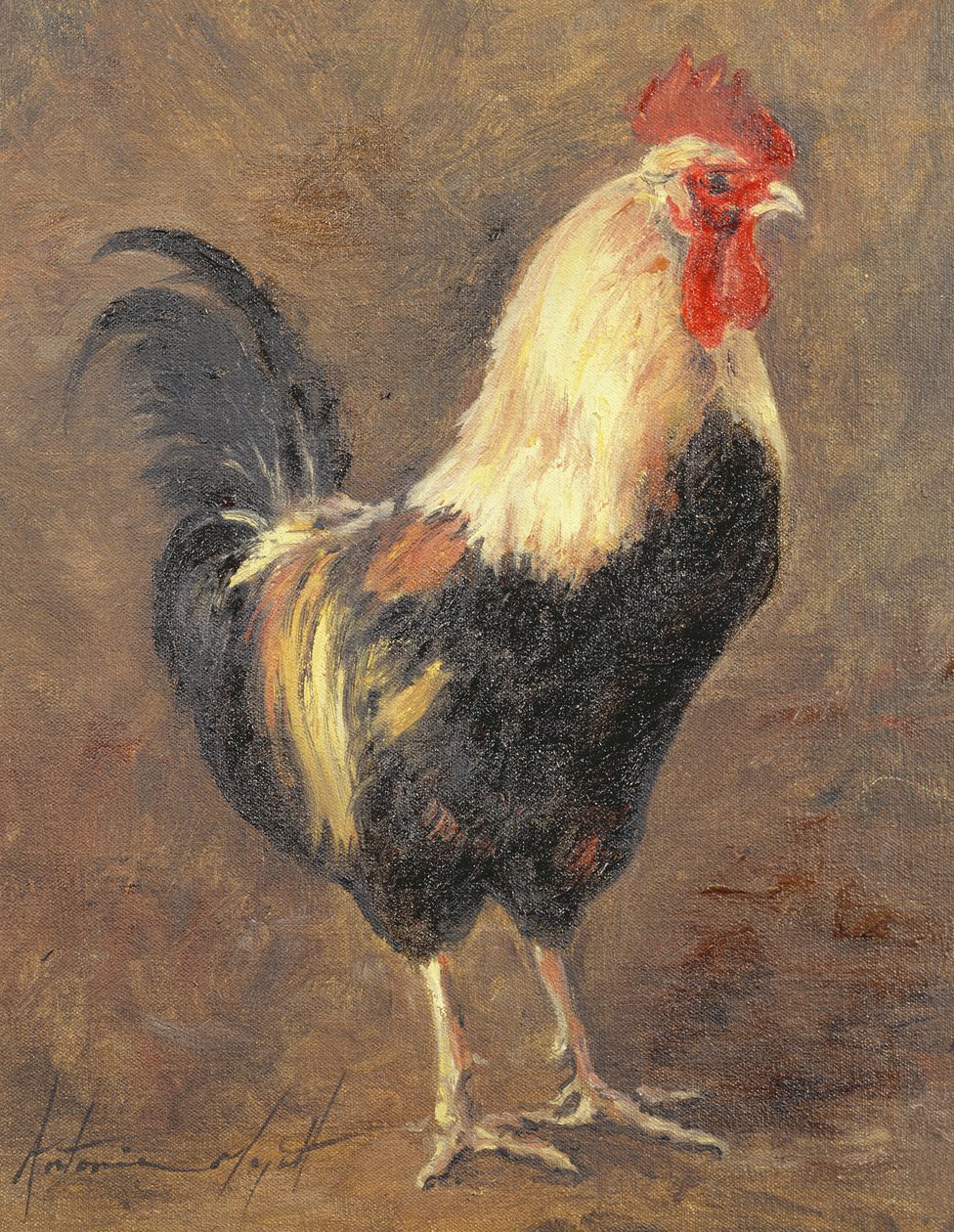 Horoz, 1999 by Antonia Myatt