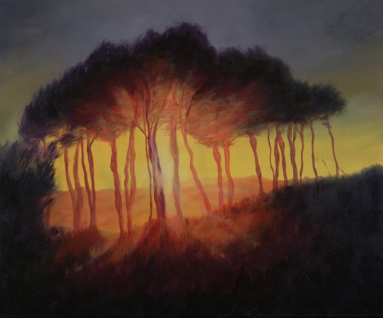 Gün Batımında Yabani Ağaçlar, 2002 by Antonia Myatt