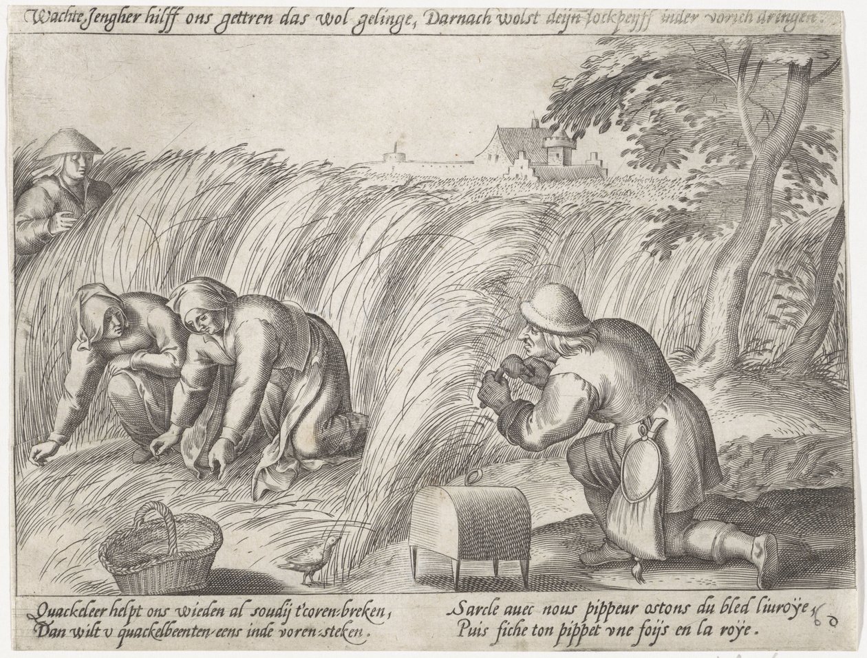 Arazide ayıklama Büyüyen tahıl (seri başlığı) by Antonie Wierix (II) (possibly)