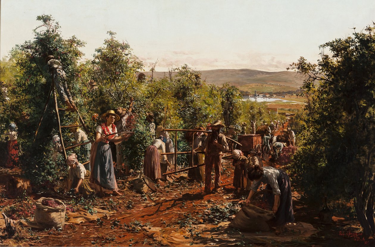 Hasat, Fazenda Santa Gertrudes - Araras, SPn by Antonio Ferrigno