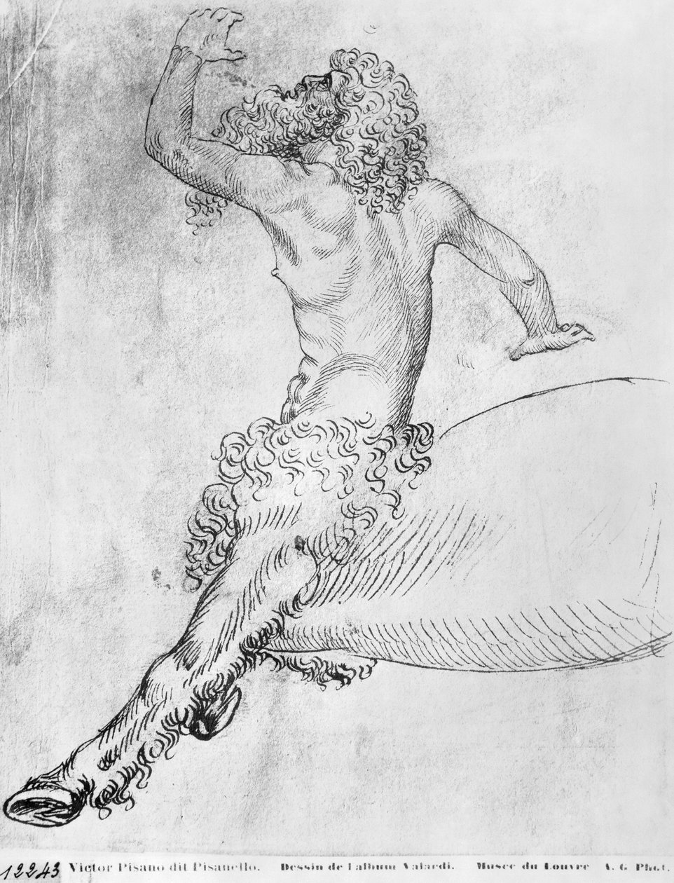 Vallardi Albümünden Centaur, by Antonio Pisanello