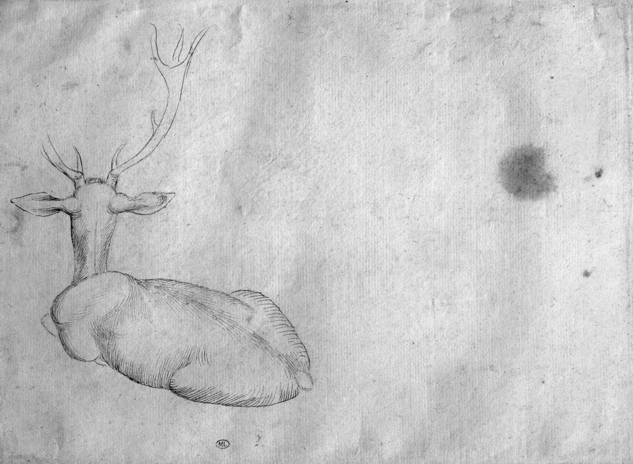Vallardi Albümünden, arkadan görülen dinlenme geyiği by Antonio Pisanello