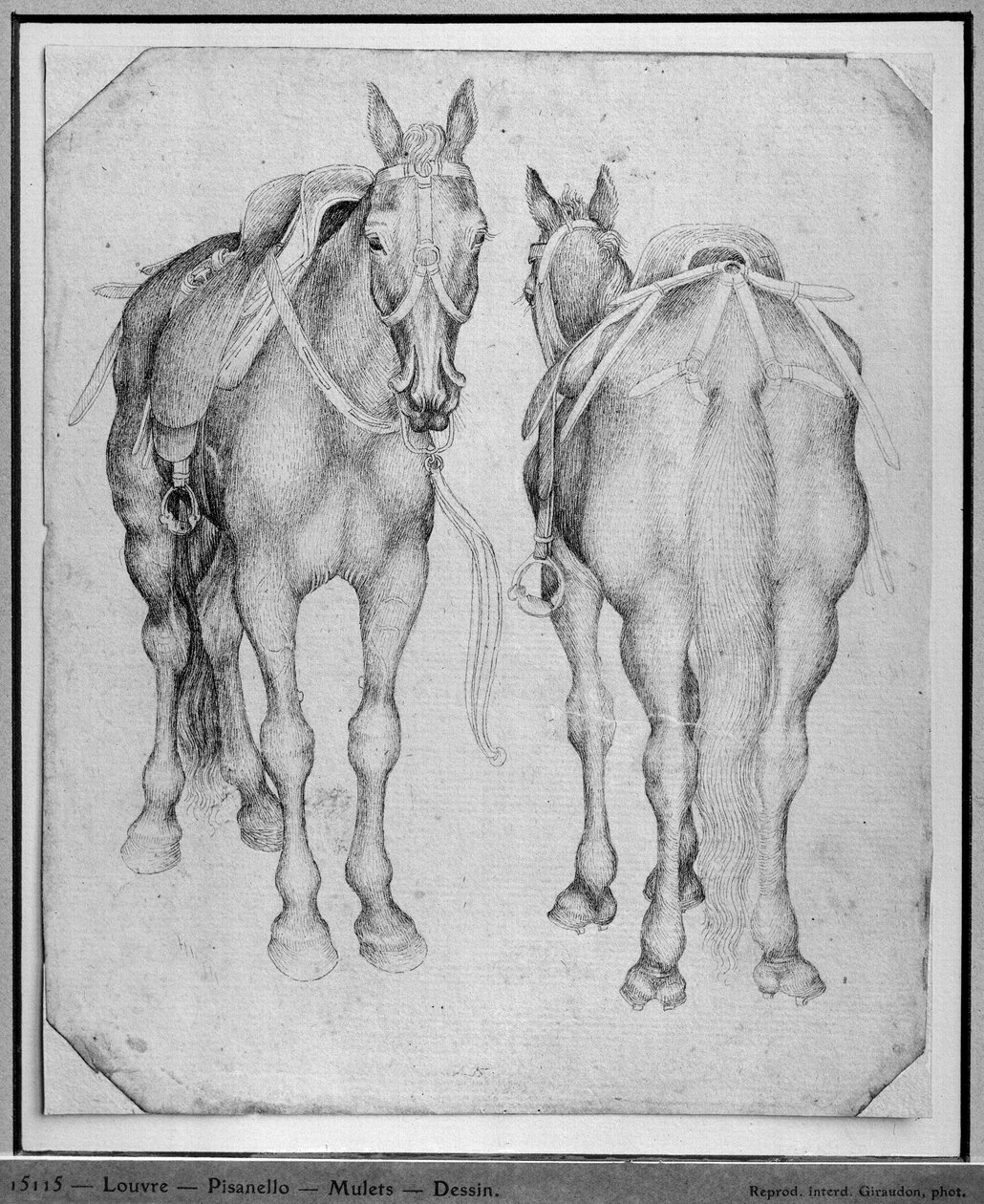 Vallardi Albümünden iki at by Antonio Pisanello