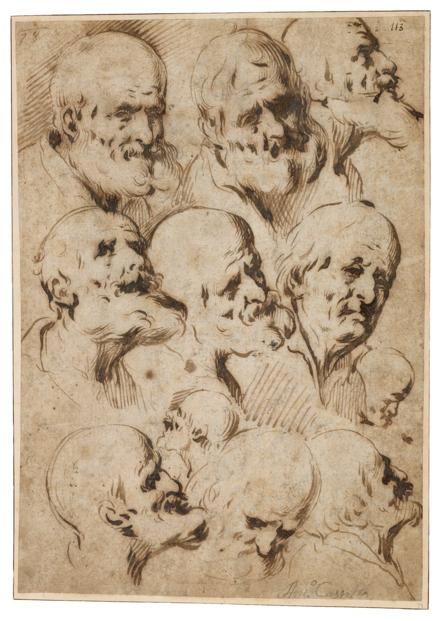 Havarilerin başlarının incelenmesi, c.1650 (kağıt üzerine kamış kalem ve kahverengi mürekkep) by Antonio del Castillo y Saavedra