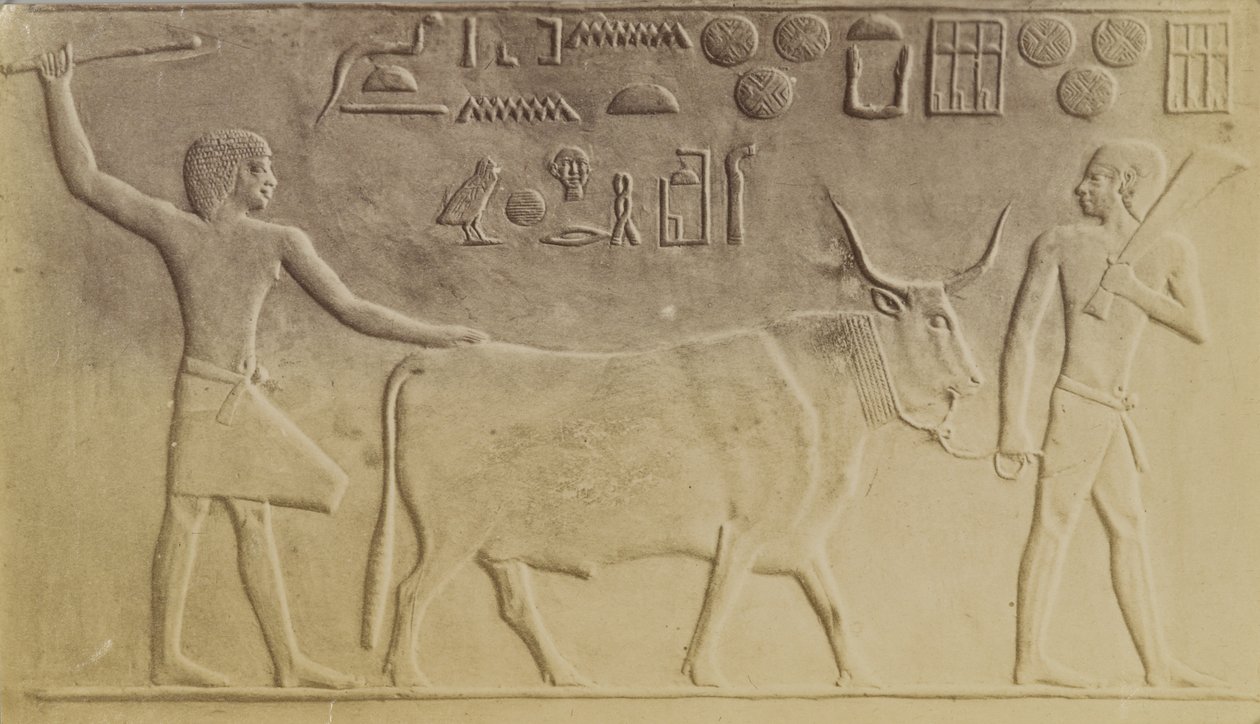Saqqara