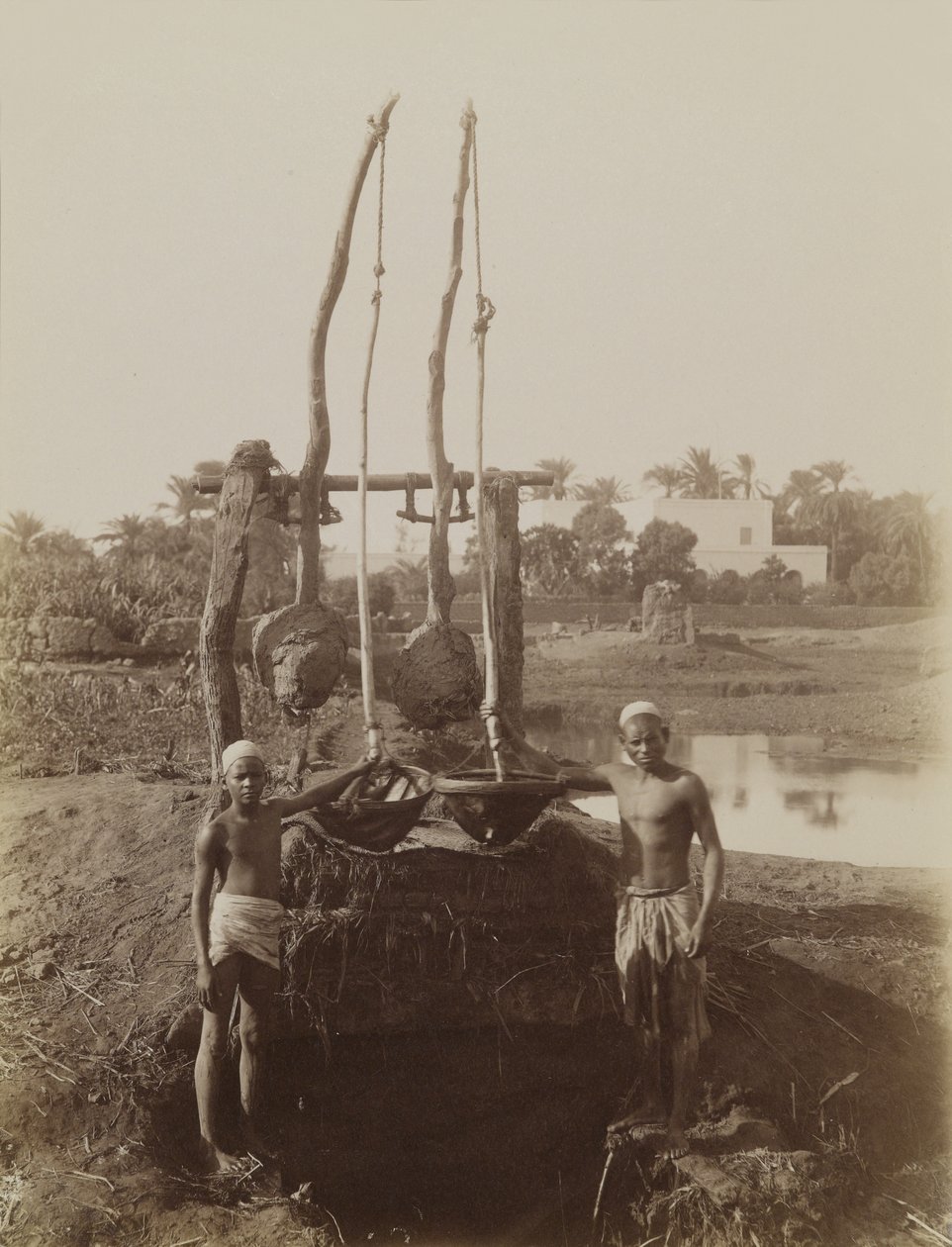 Sehaduf, Luksor by Antonio Beato