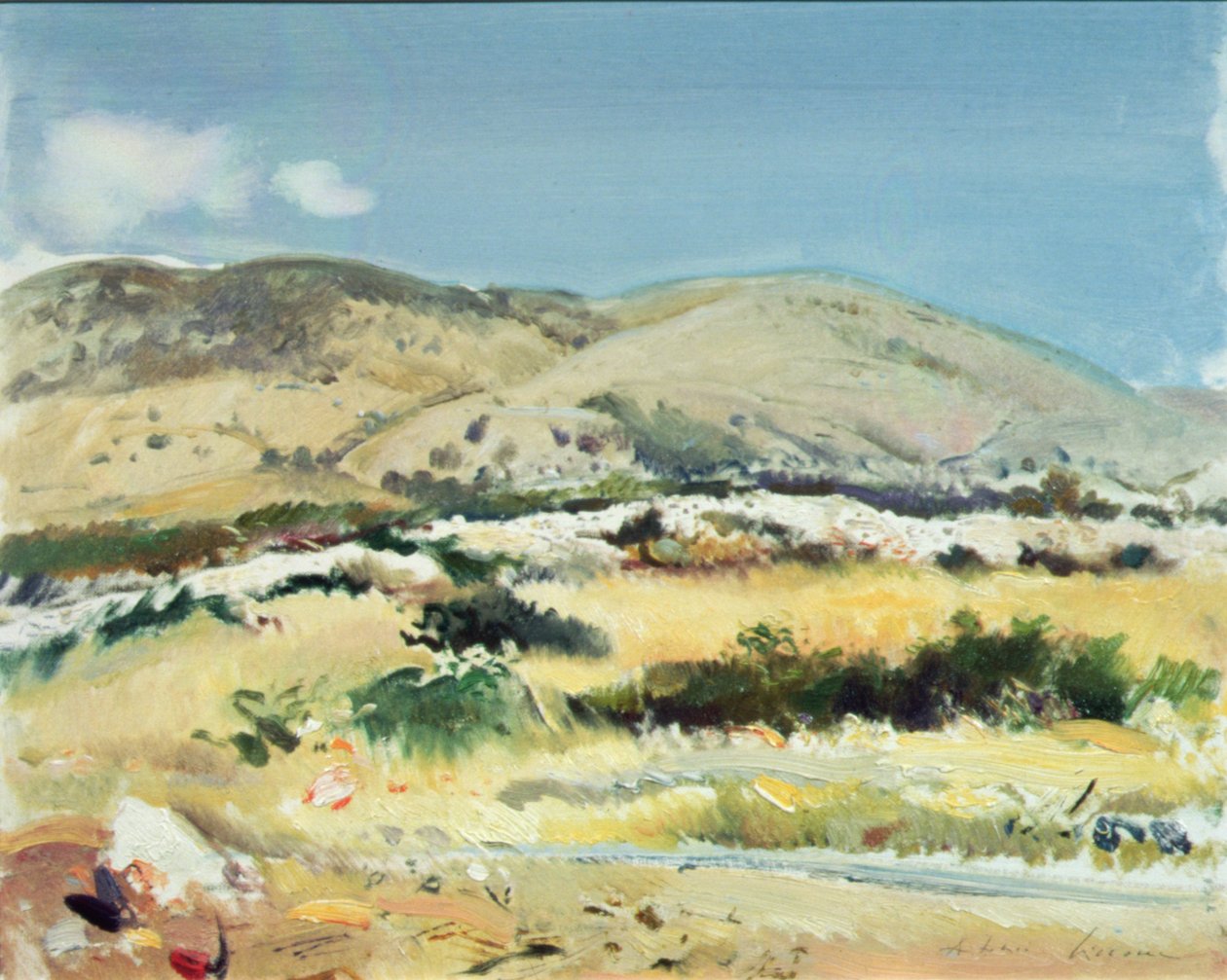 Gargano, 1981 by Antonio Ciccone