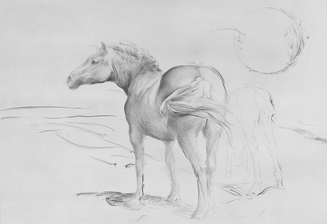 Coolmore