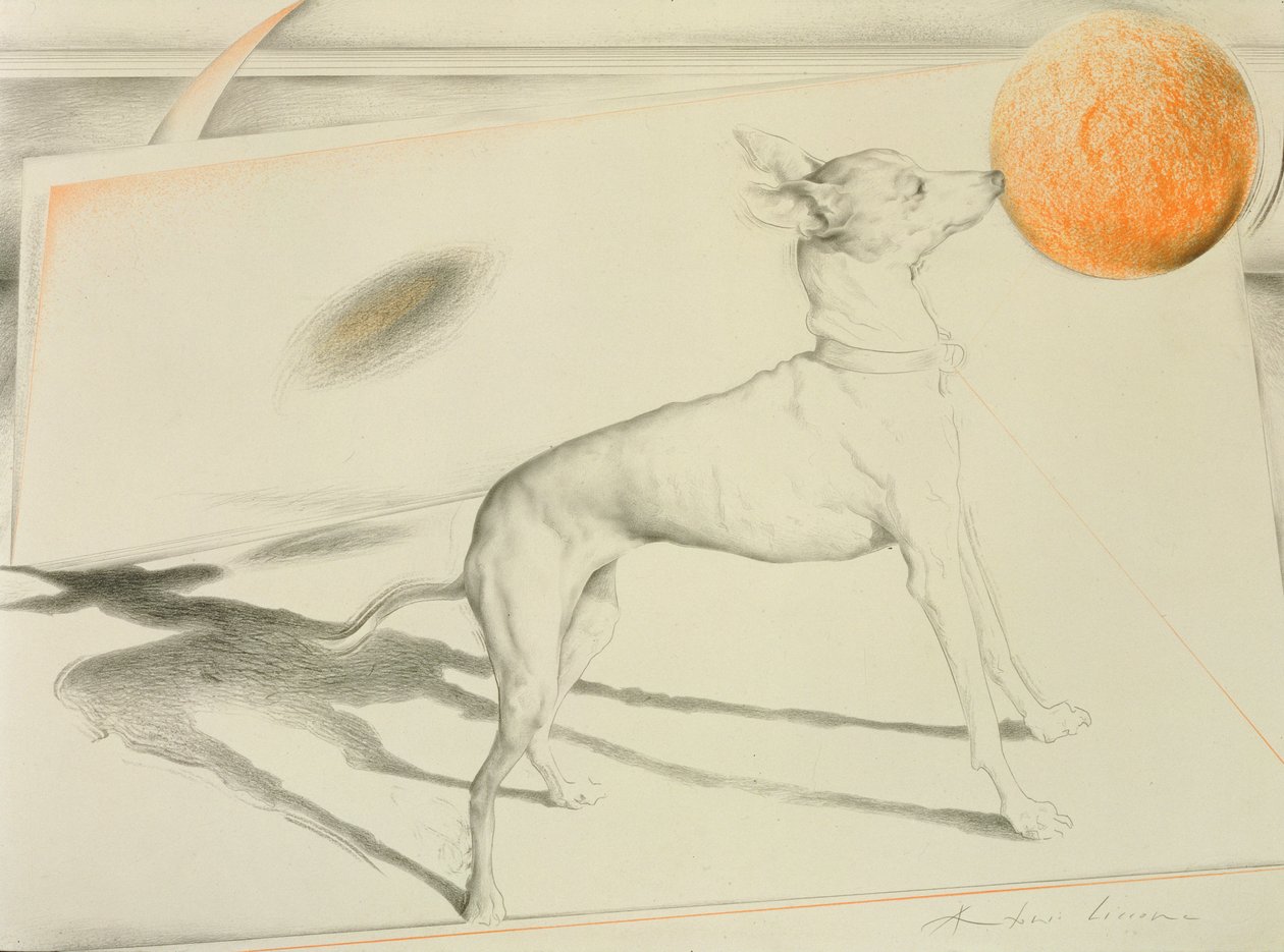 Uzay Köpeği (kağıt üzerinde kömür ve pastel) by Antonio Ciccone