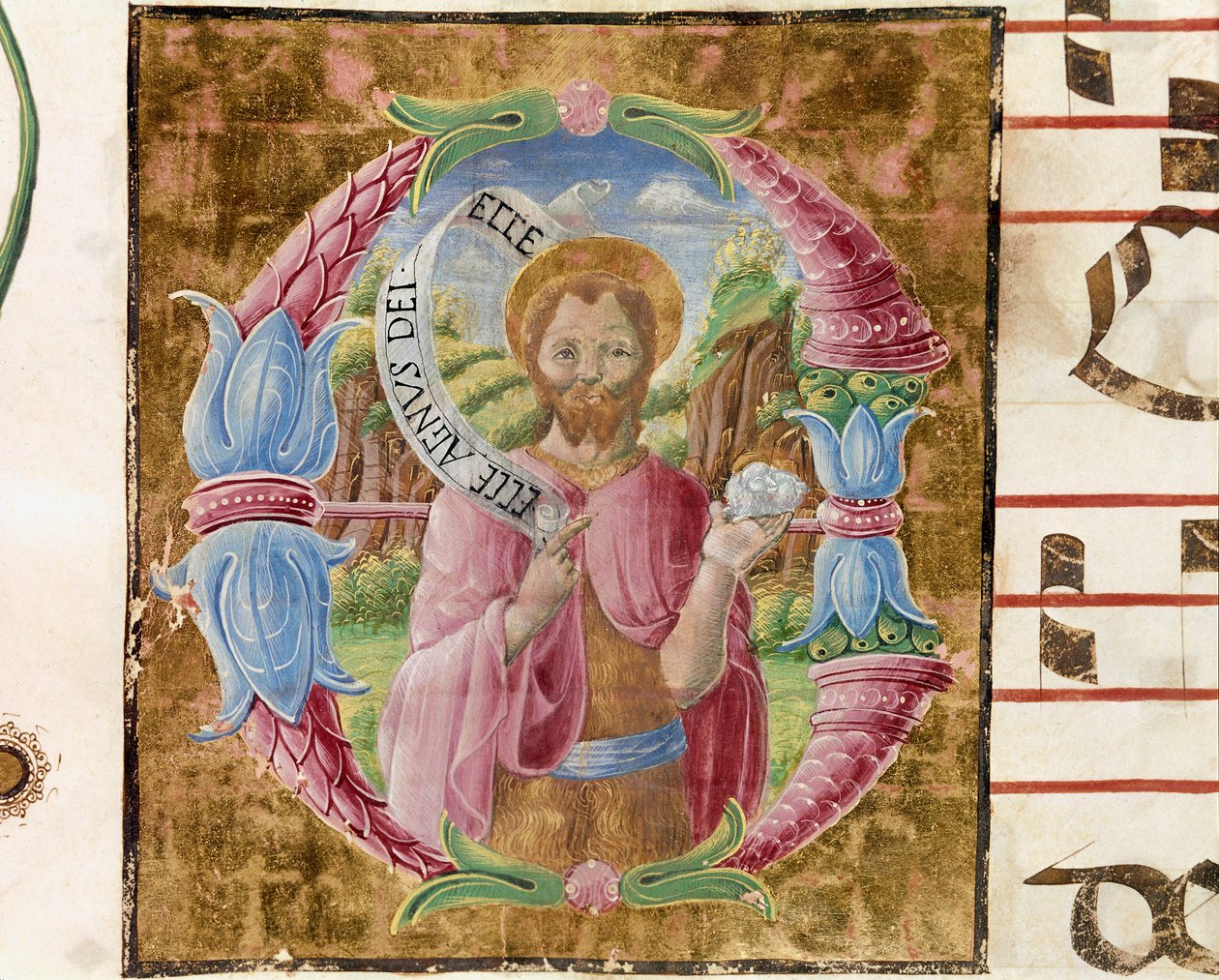 Antonio Cicognari tarafından aydınlatılan Aziz John the Baptist Lettrine. Bir antifonaryden detay. 1483. Cremone, koro 4, katedralin bölümü by Antonio Cicognara