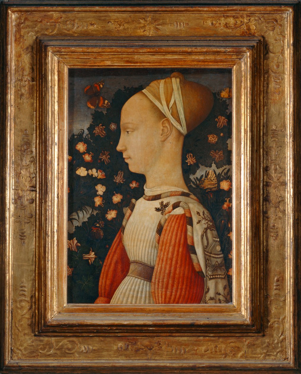  by Antonio Pisanello