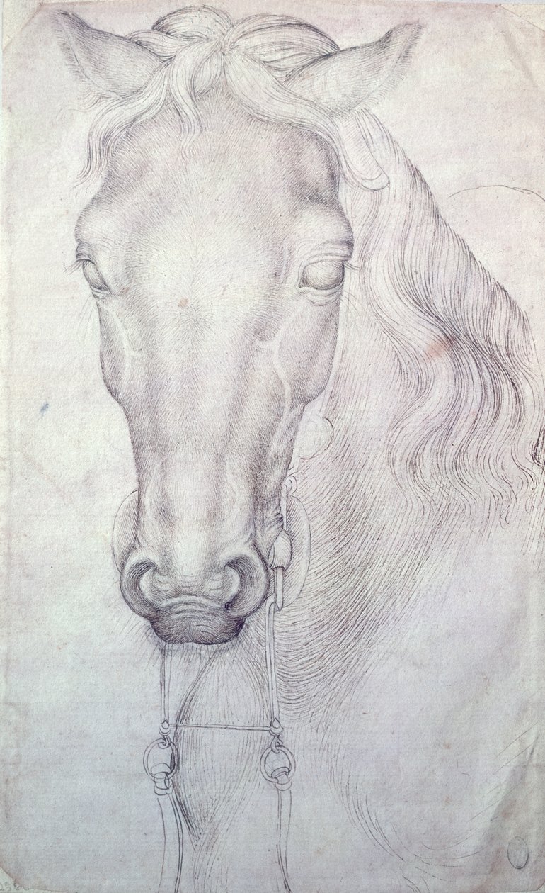 Bir At Başkanı by Antonio Pisanello