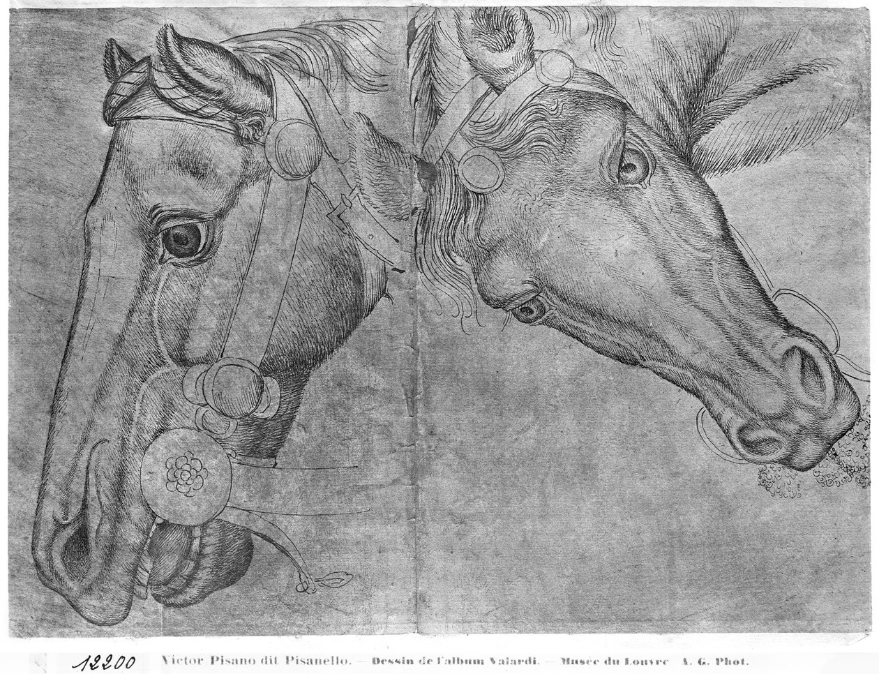 Vallardi Albümünden at başları by Antonio Pisanello