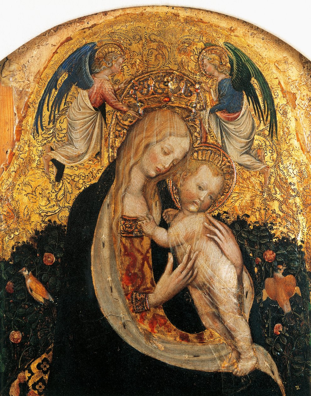Bıldırcın Madonna, Antonio Pisanello (1395-1455), detay by Antonio Pisanello