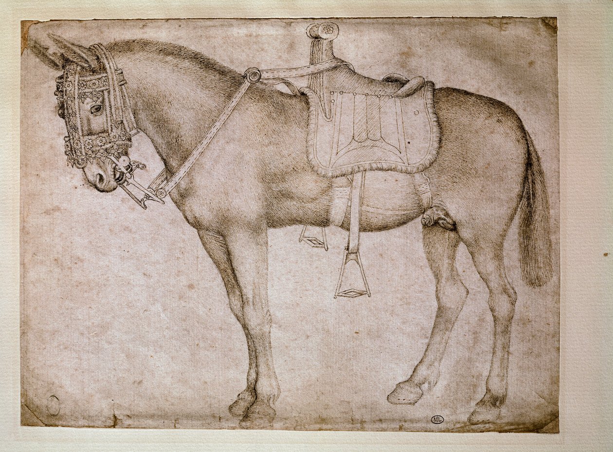 Katır koşum takımı. Çizim Antonio Pisano dit il Pisanello (1380-1455) by Antonio Pisanello