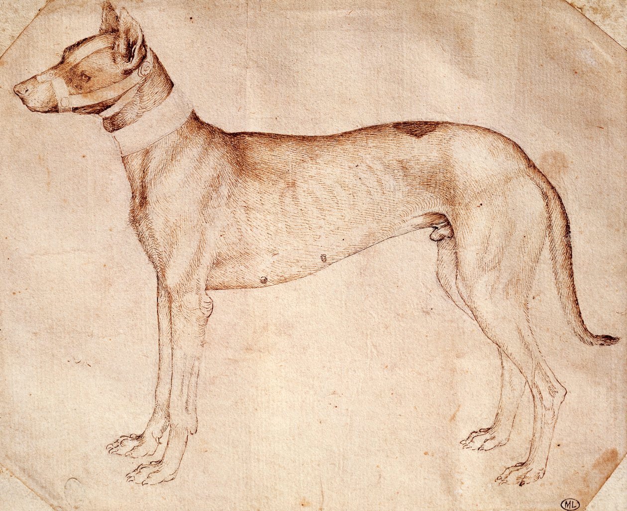 Pisanello olarak bilinen Antonio Pisano