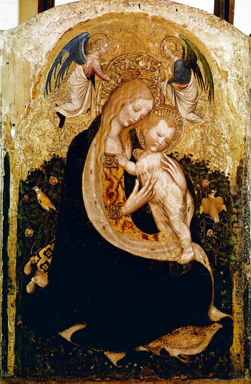 Madonna