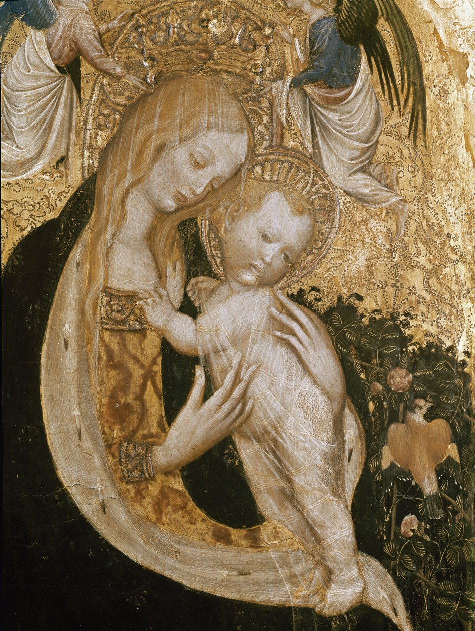 Bıldırcınlı Bakire (Ahşap üzerine Detrempe, c.1420) by Antonio Pisanello