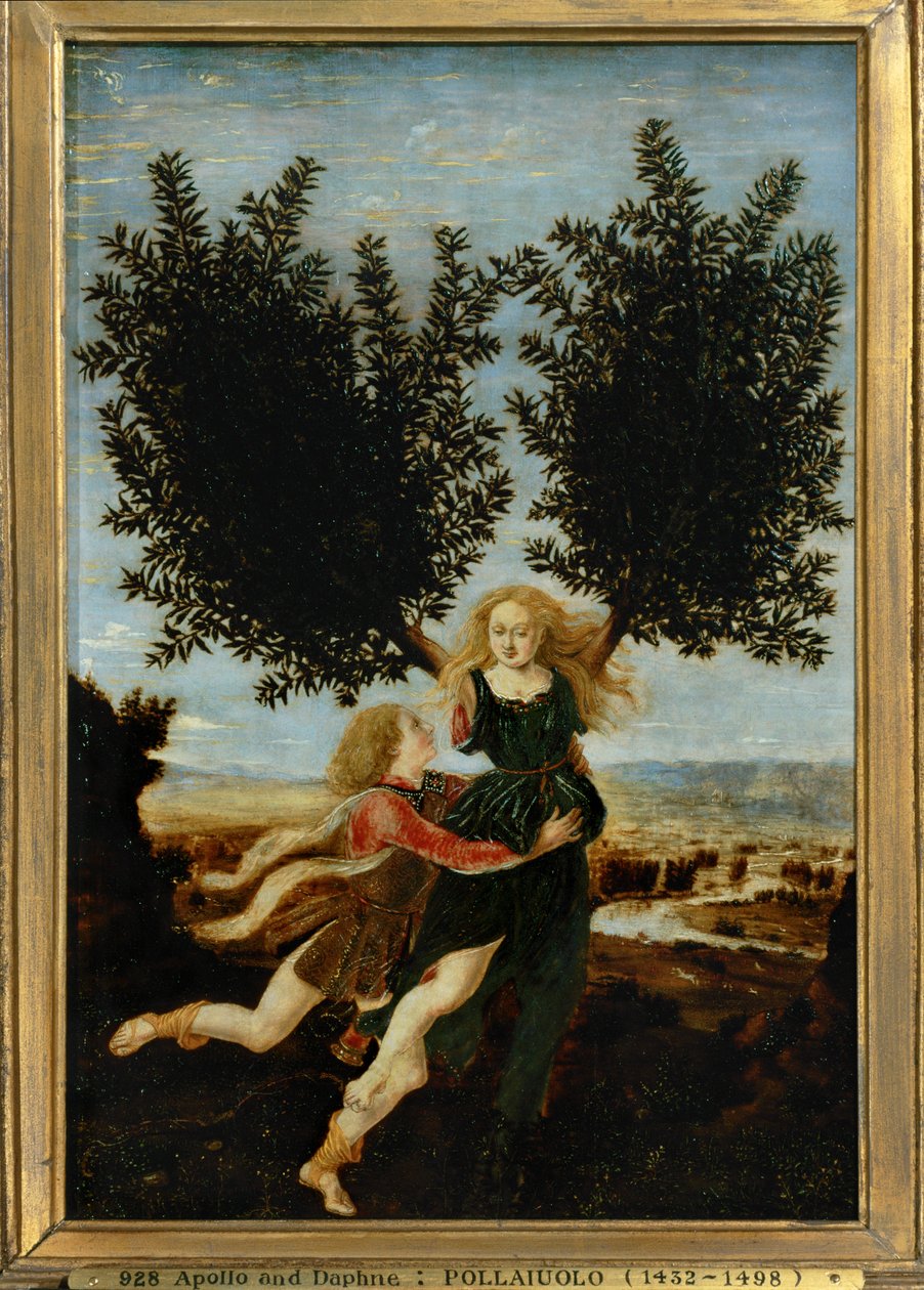  by Antonio Pollaiuolo