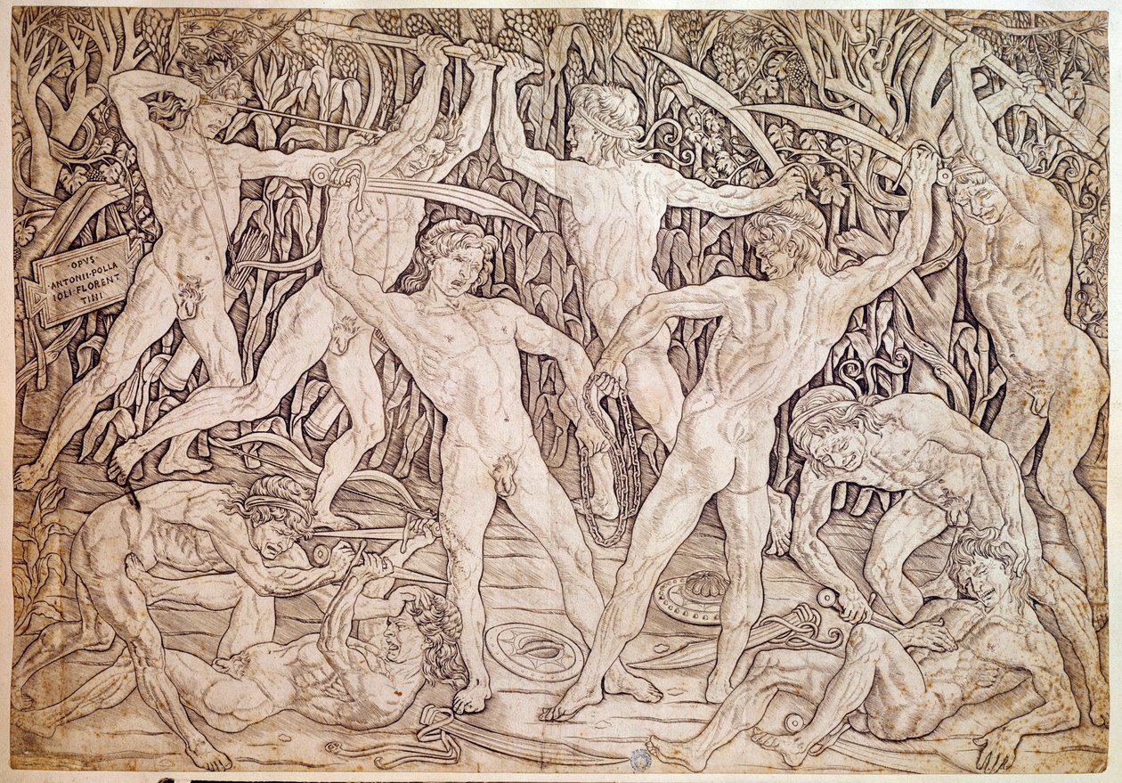 Çıplak adamlar dövüşür. Antonio Pollaiuolo (Pollaiolo) tarafından gravür (1432-1498) by Antonio Pollaiuolo