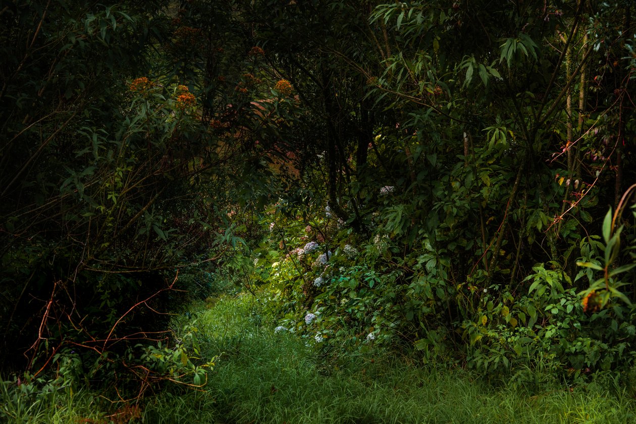  by Antonio Schubert