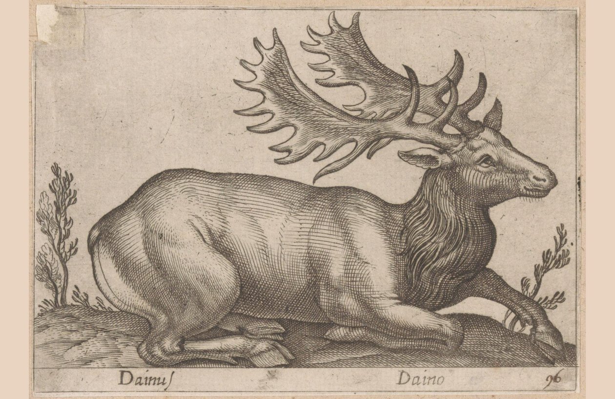 Damhert Dainus / Daino (nesne üzerindeki başlık) Dieren en fabelwezens (dizi adı) Dünyanın en meraklı hayvanlarının Nova koleksiyonu (dizi başlığı) by Antonio Tempesta