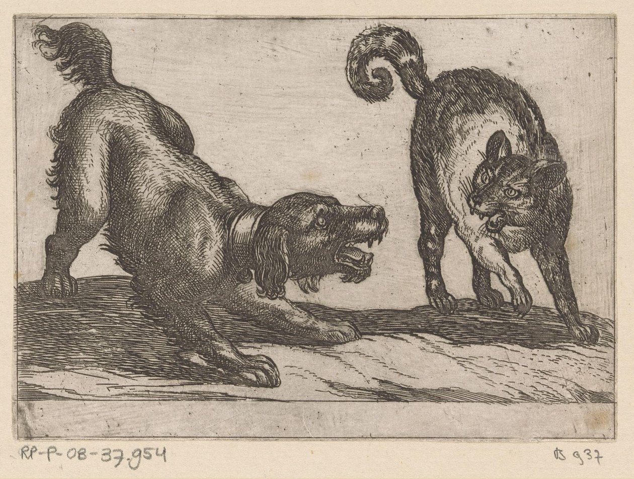 Kediyle kavga eden köpek Dövüşen hayvanlar (dizi başlığı) by Antonio Tempesta