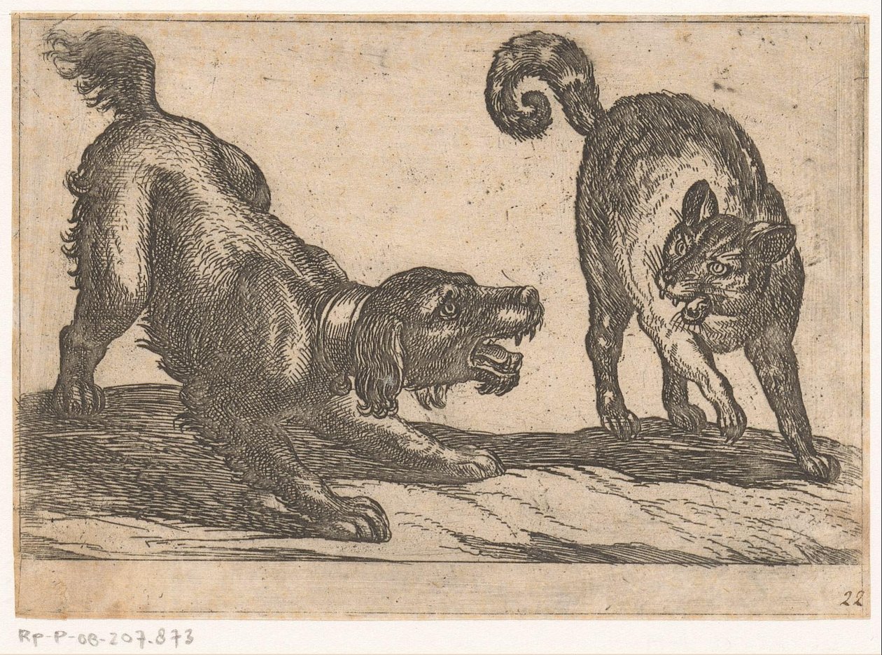 Kediyle dövüşen bir köpek Hayvanlarla dövüşüyor (dizi başlığı) by Antonio Tempesta