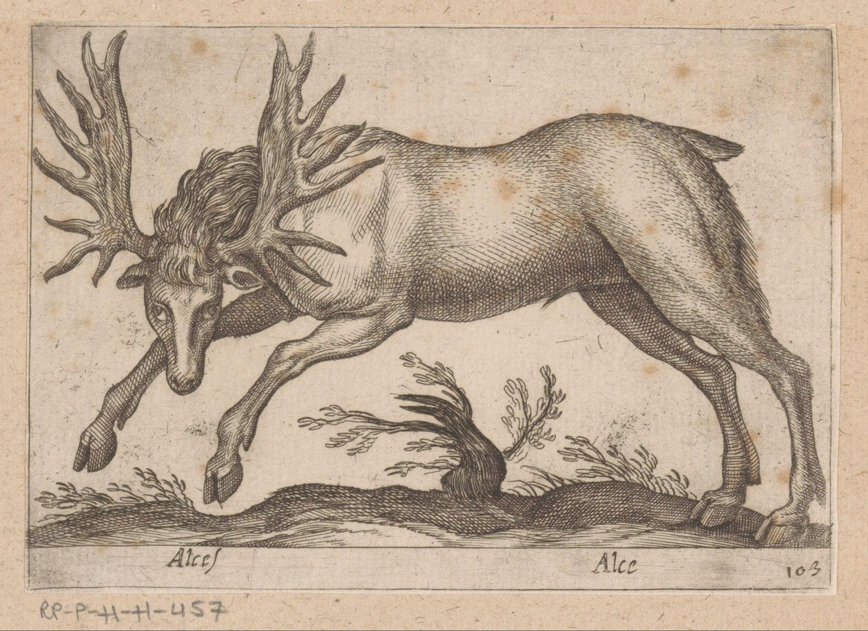 eland Geyik / Alce (nesne üzerindeki başlık) Dieren en fabelwezens (dizi adı) Dünyanın en meraklı hayvanlarının yeni koleksiyonu (seri başlığı) by Antonio Tempesta