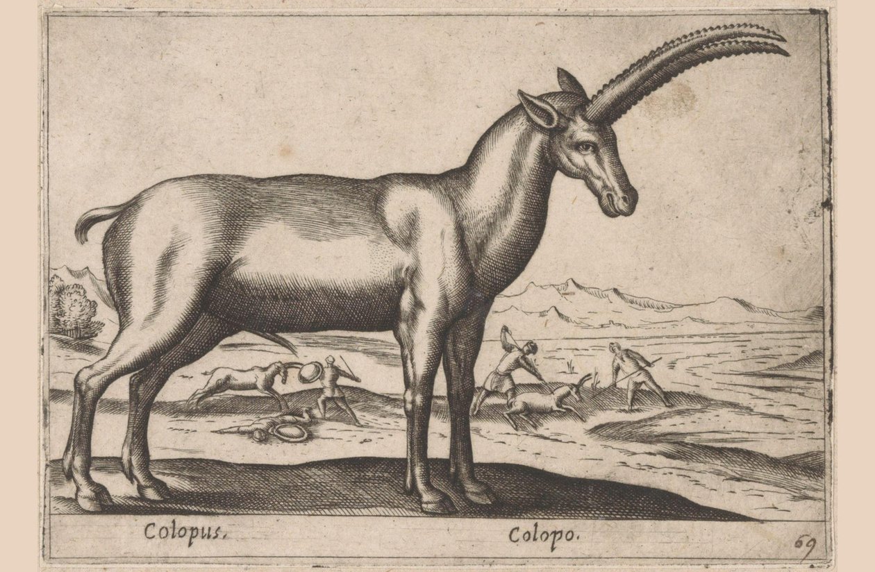 Geitachtige Colopus / Colopo (nesne üzerindeki başlık) Dieren en fabelwezens (dizi adı) Dünyanın en meraklı hayvanlarının yeni koleksiyonu (seri başlığı) by Antonio Tempesta