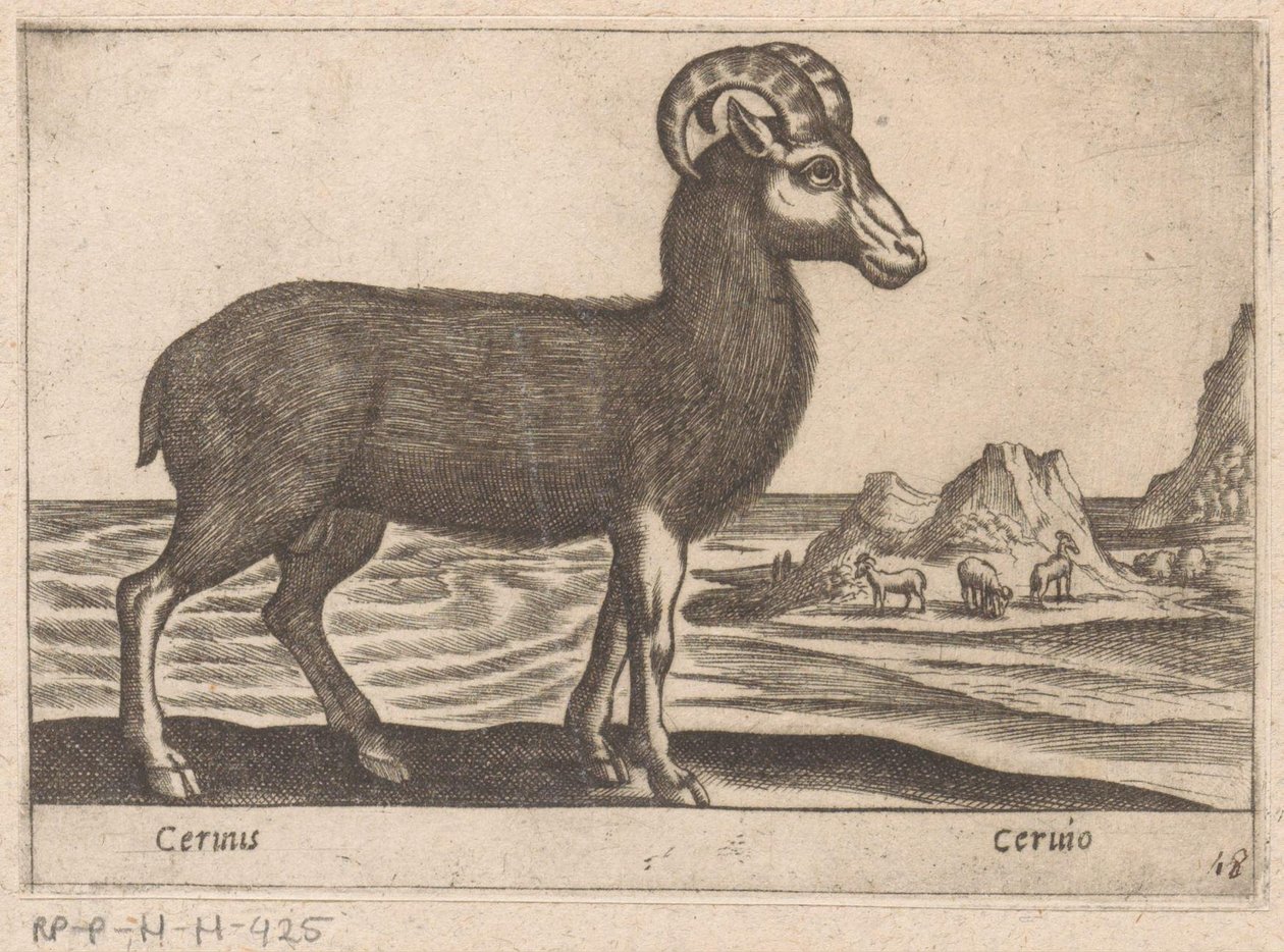 Mücevherler Cerinis / Ceruio (nesne üzerindeki başlık) Dieren en fabelwezens (dizi adı) Dünyanın en meraklı hayvanlarının Nova koleksiyonu (dizi başlığı) by Antonio Tempesta