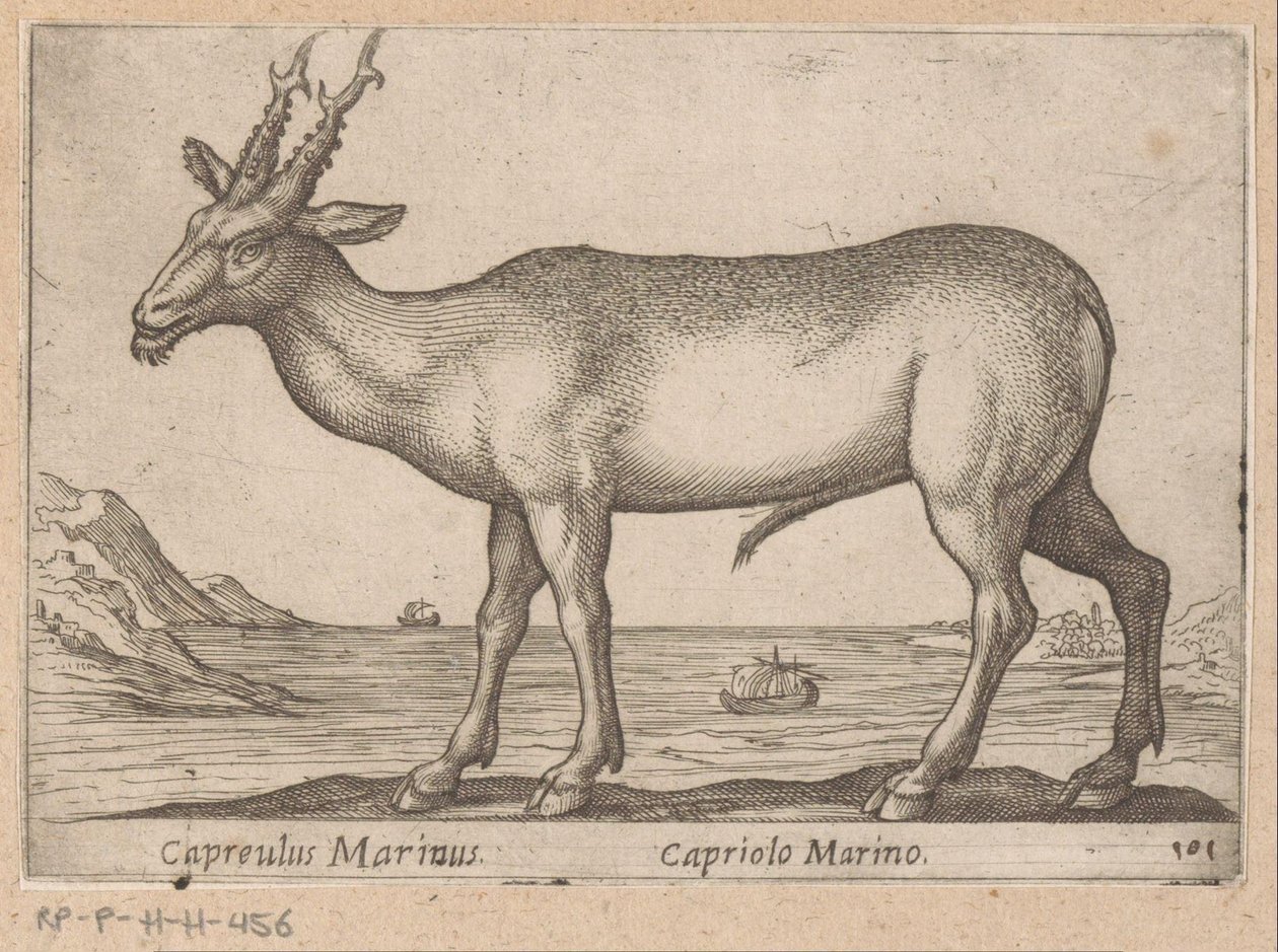 Hert Capreulus Marinus/ Capriolo Marino (nesne üzerindeki başlık) Dieren en fablewezens (dizi adı) Dünyanın en meraklı hayvanlarının yeni koleksiyonu (seri başlığı) by Antonio Tempesta
