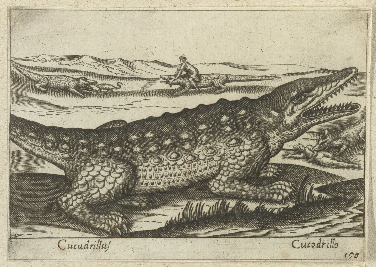 Timsah Coccodrillus / Coccodrillo (nesne üzerindeki başlık) Dieren en fabelwezens (dizi adı) Dünyanın en meraklı hayvanlarının yeni koleksiyonu (seri başlığı) by Antonio Tempesta