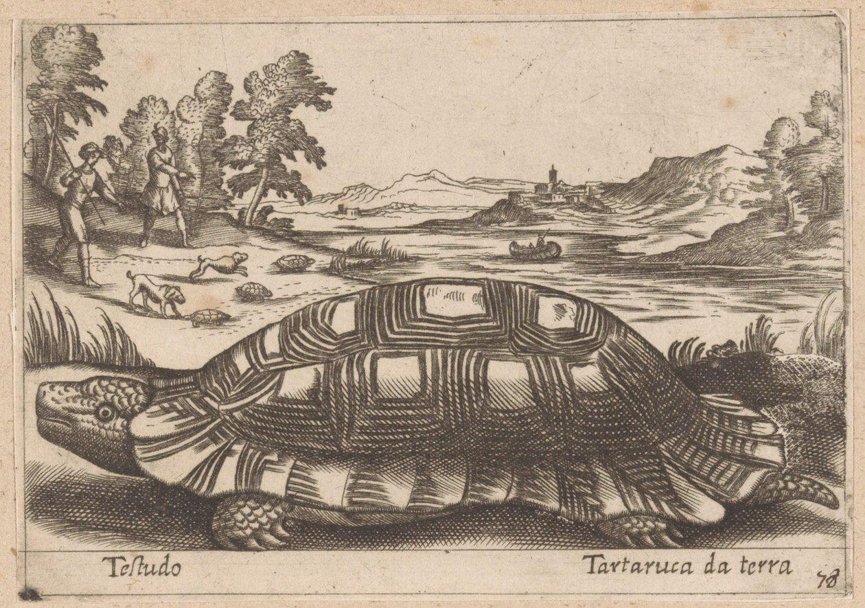 Landschildpad Testudo / Yer kaplumbağası (nesne üzerindeki başlık) Dieren en fabelwezens (dizi adı) Dünyanın en meraklı hayvanlarının Nova koleksiyonu (dizi başlığı) by Antonio Tempesta