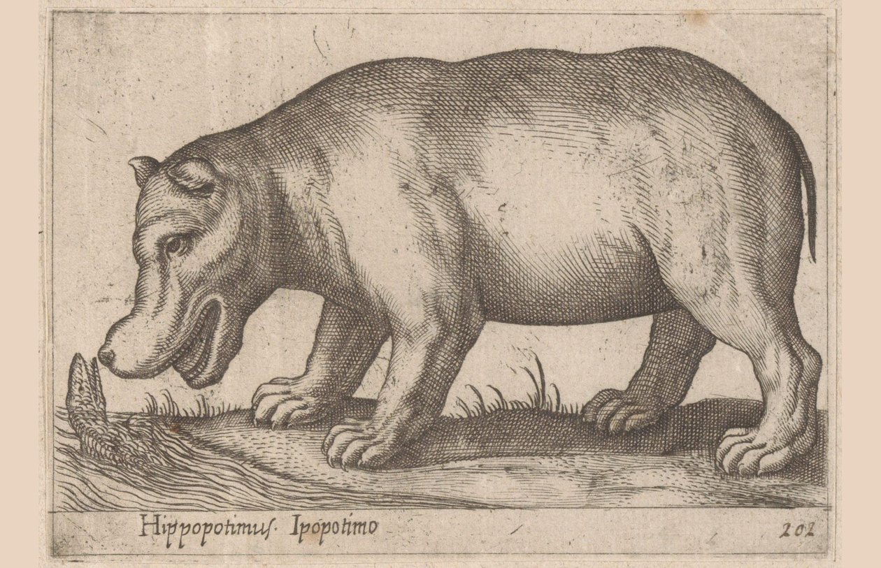 su aygırı Su aygırı/Ippopotamo (nesne üzerindeki başlık) Hayvanlar ve efsanevi yaratıklar (dizi adı) Nova raccolta de li animali piu curiosi del mondo (dizi başlığı) by Antonio Tempesta