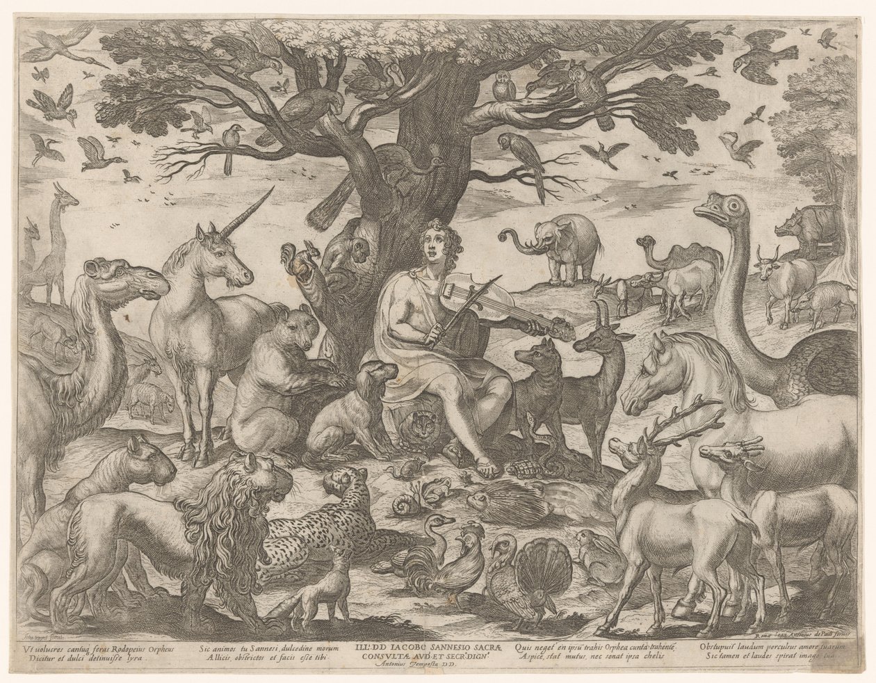 Orpheus müziğiyle hayvanları büyüledi by Antonio Tempesta