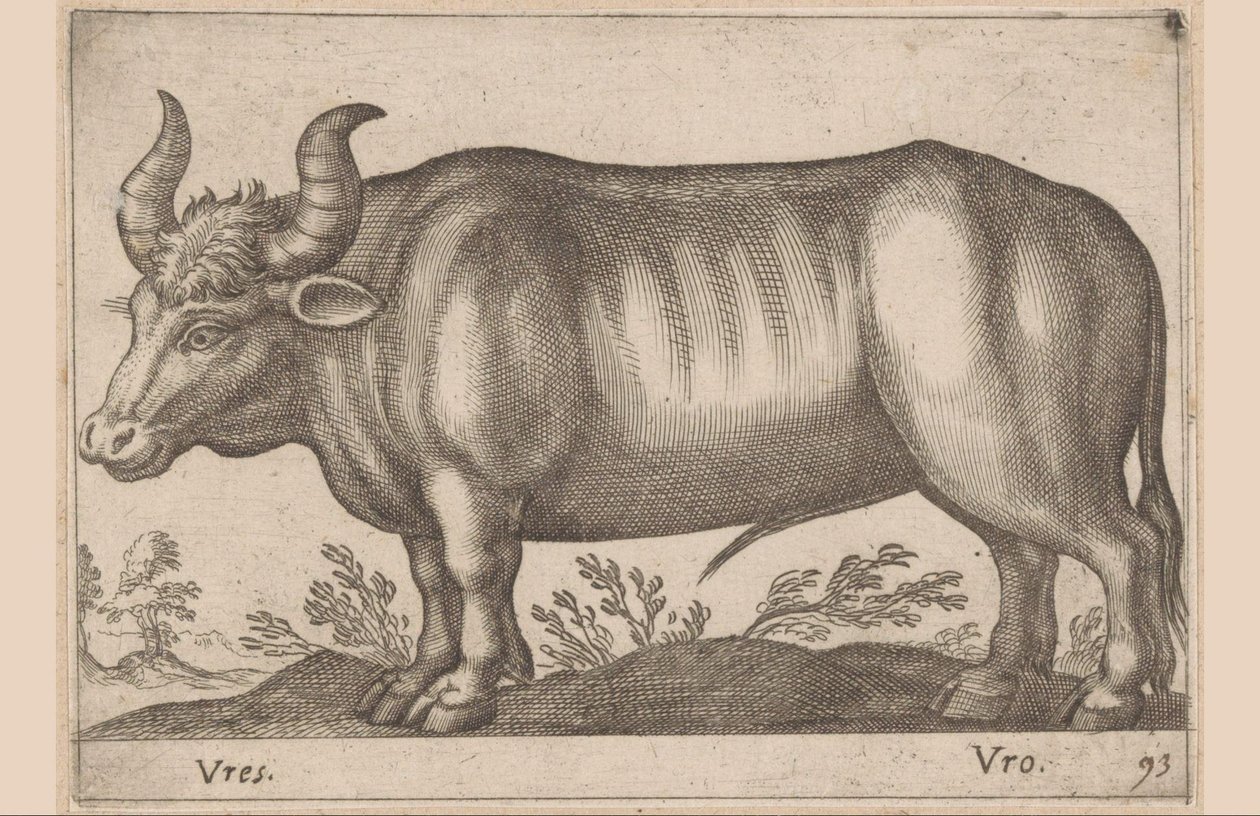 Yuvarlak Vres / Vro (nesne üzerindeki başlık) Hayvanlar ve Masallar (dizi adı) Nova raccolta de li animali piu curiosi del mondo (dizi başlığı) by Antonio Tempesta