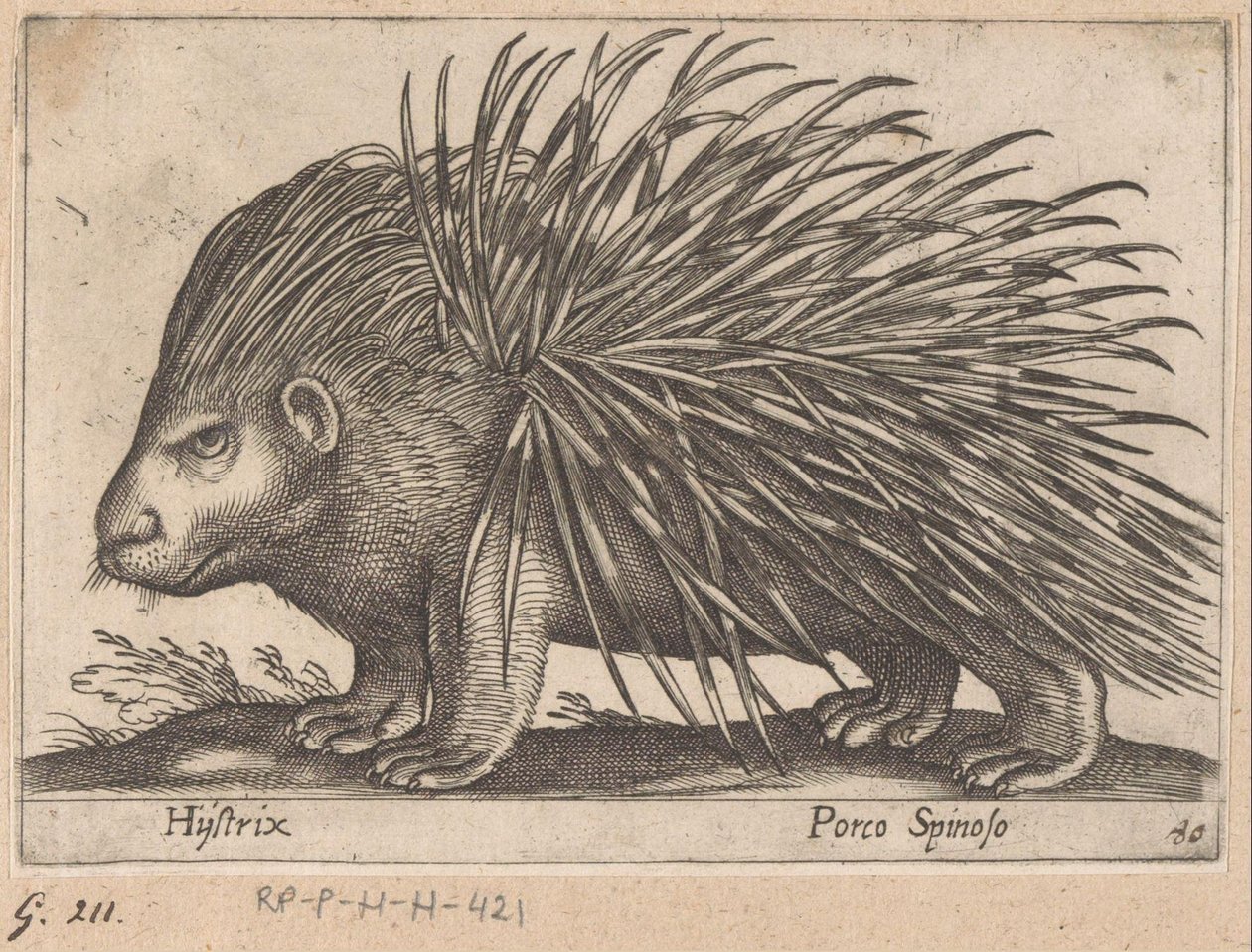 Kirpi Hystrix/ Porco Spinoso (nesne üzerindeki başlık) Hayvanlar ve efsanevi yaratıklar (dizi adı) Nova raccolta de li animali piu curiosi del mondo (dizi başlığı) by Antonio Tempesta