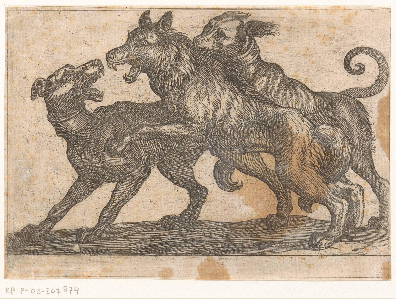 İki köpek bir kurtla dövüşüyor Hayvanlarla dövüşüyor (dizi adı) by Antonio Tempesta