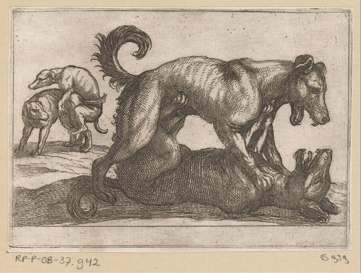 İki çiftleşme ve iki dövüş köpeği Dövüşen hayvanlar (dizi başlığı) by Antonio Tempesta