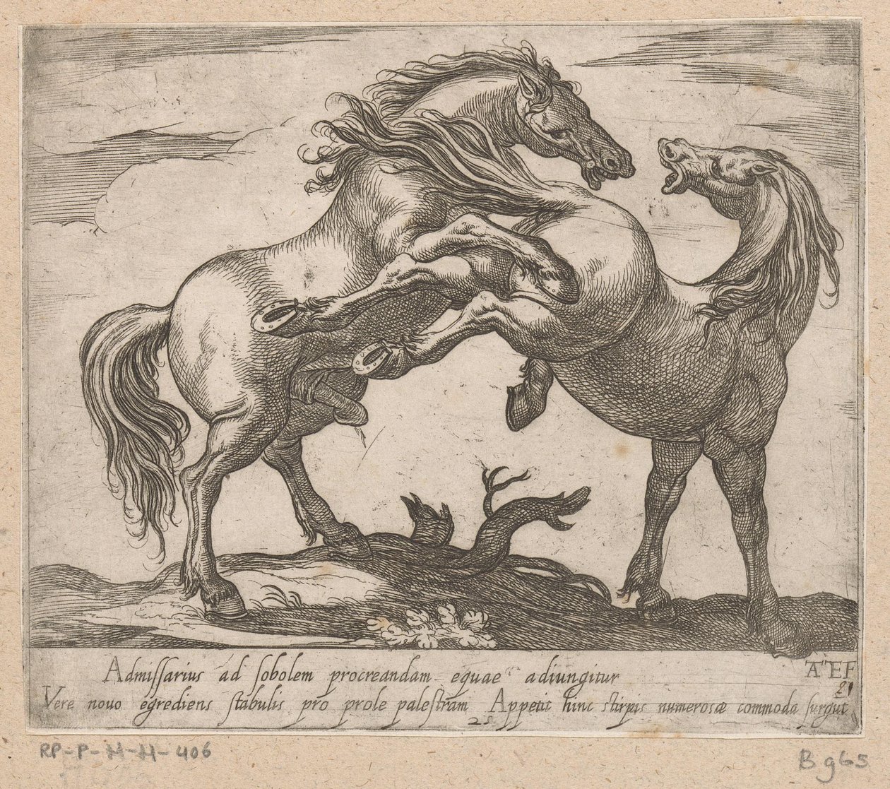 twee parende paarden Paarden uit verschillende landen (seri başlığı) Bu liderlik altında prens, kahramanın ağzıyla kutlanacak, o adam bu yıldızları yenecek. by Antonio Tempesta