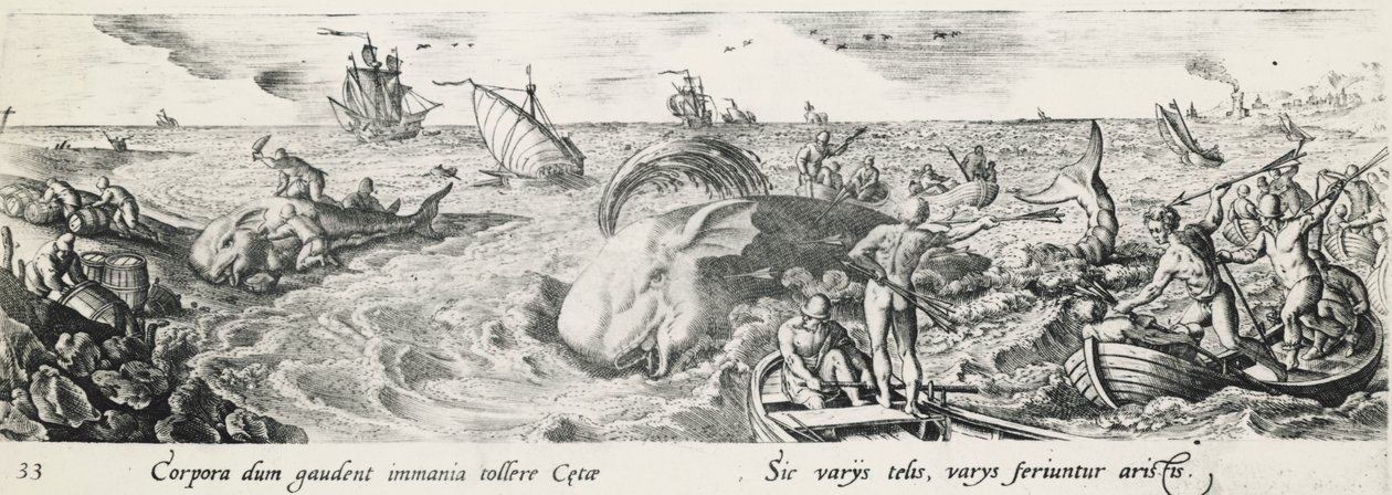 Balina avı, yazan Antonio Tempesta (1555-1630), gravür, İtalya by Antonio Tempesta
