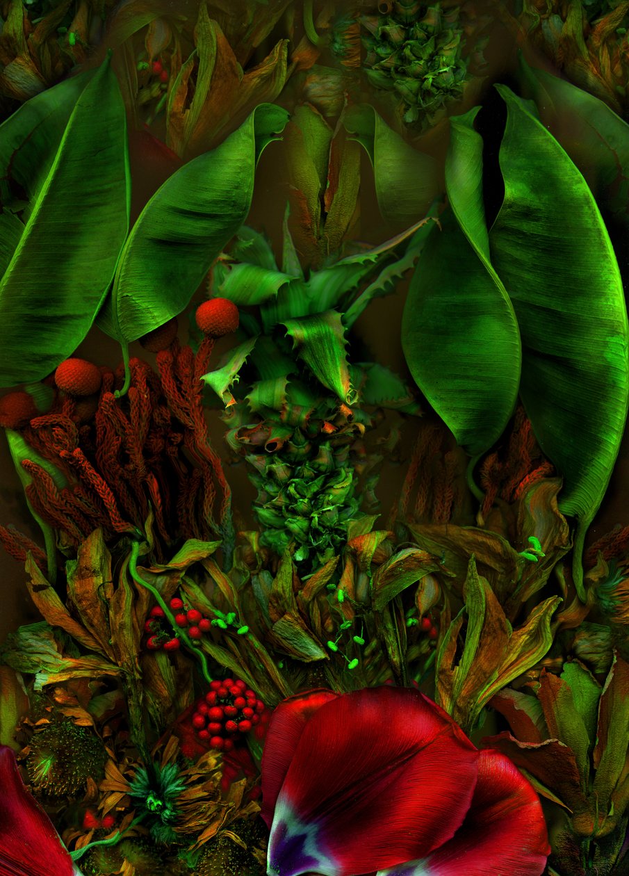 Anderswelt no.22-2, 2025 (fotoğraf) by Antonius Antonius