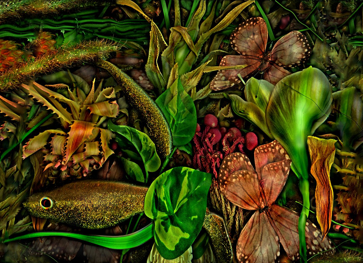 Anderswelt no.3-5, 2015 (fotoğraf) by Antonius Antonius