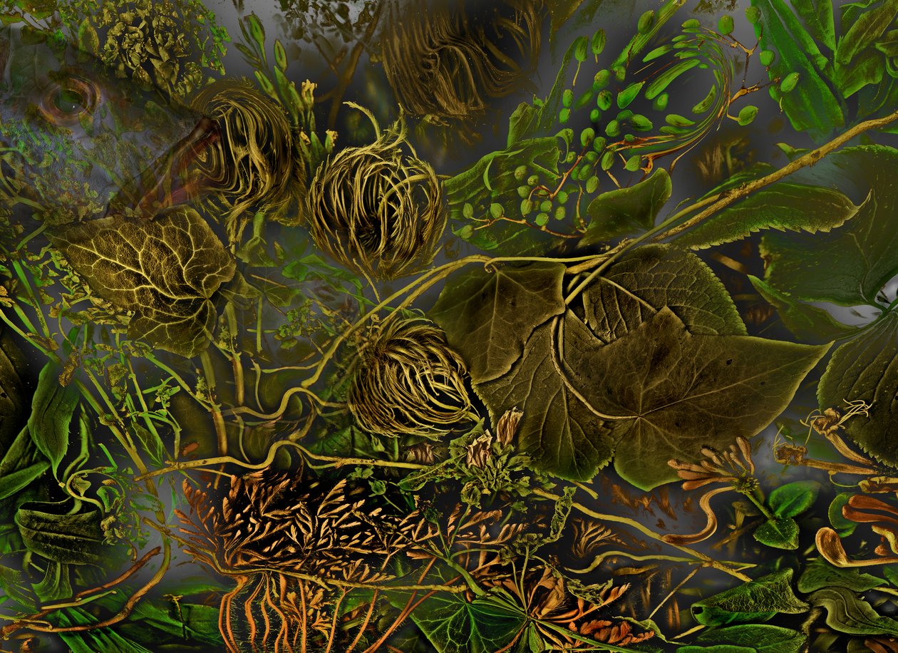  by Antonius Antonius