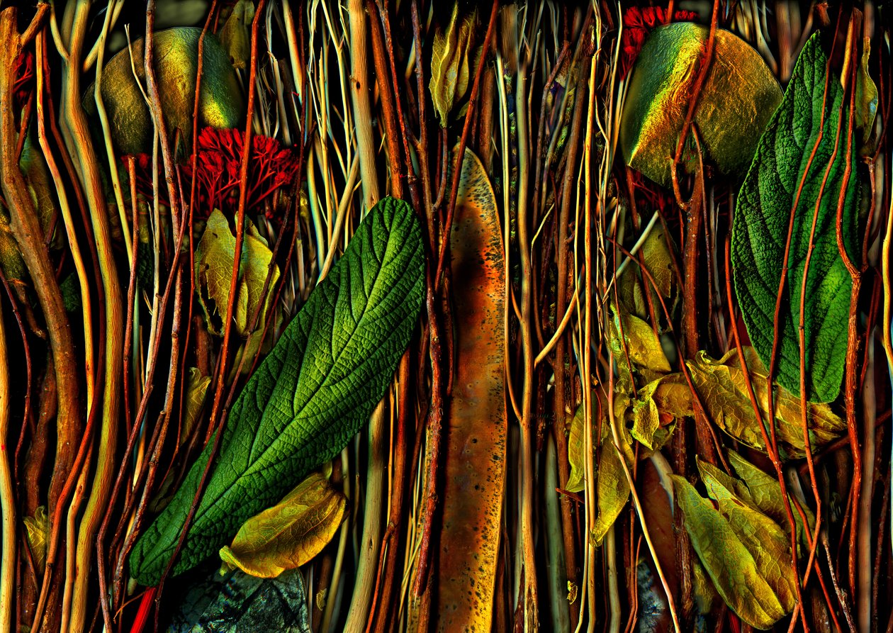  by Antonius Antonius