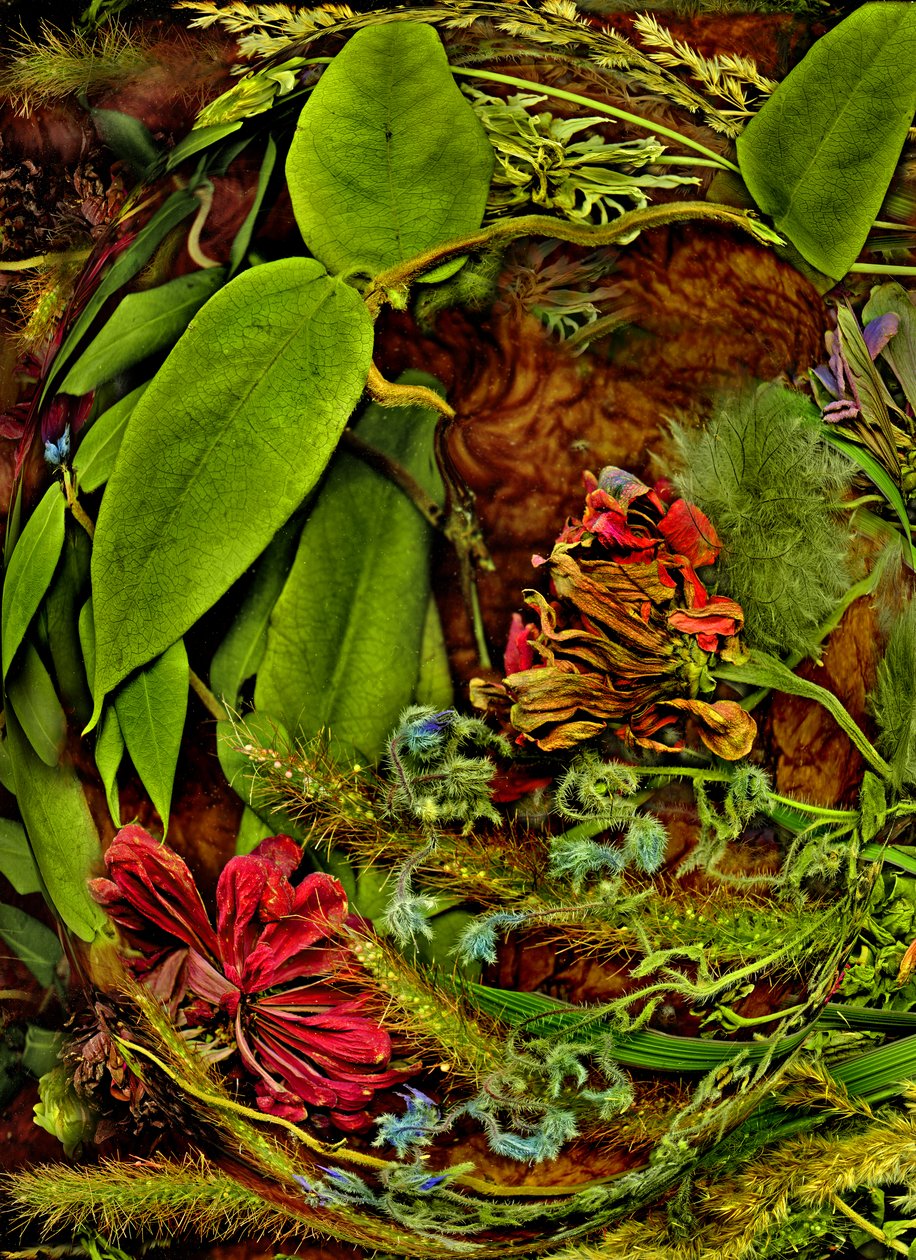  by Antonius Antonius