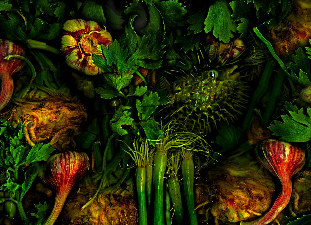  by Antonius Antonius