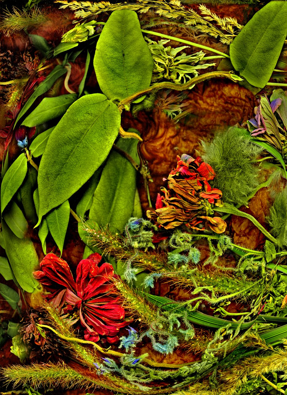  by Antonius Antonius