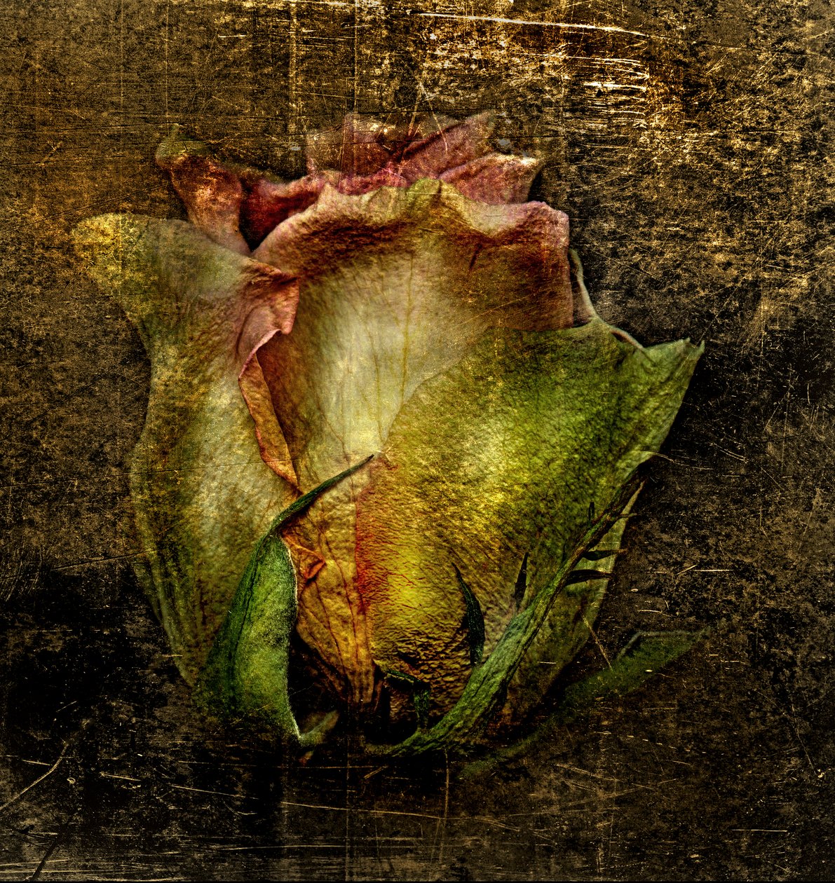  by Antonius Antonius